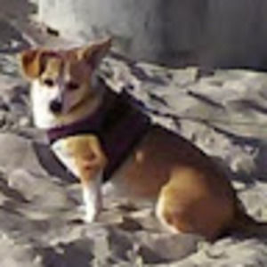 Meet your Posher, Maureen